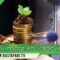 2018 Jan 14, Damali Rootz FM Interview: Soil is our gold!