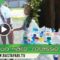 2018 Jan. 5 RasTafari TV Clean up Haile Selassie High School