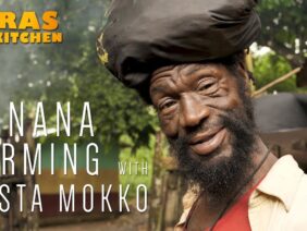 Banana Farming with Rasta Mokko