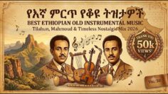 Best Ethiopian Old Instrumental Music 🎶 Tilahun, Mahmoud & Timeless Nostalgic Mix 2026 | Vol. 30