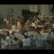 Bob Marley Reggae Festival Miami – Ive Tried Everything (LIVE)