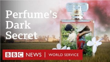 Child labour behind global brands best-selling perfumes – BBC World Service Documentaries