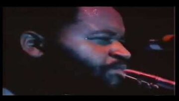 Classic Reggae Concert Clips 🌴 70s & 80s Live Footage