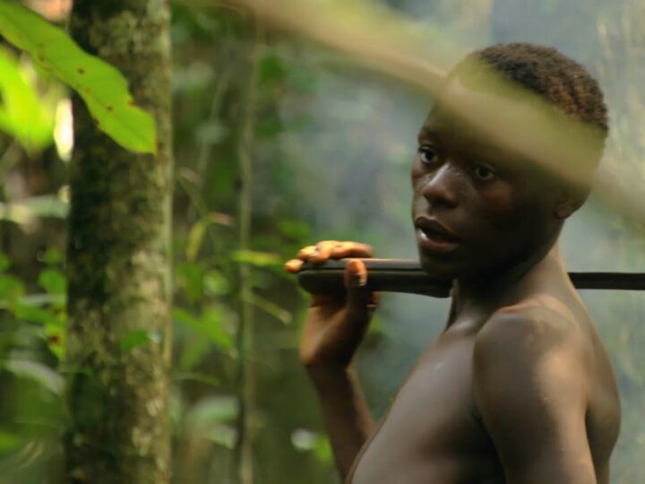 Congo: the Untamed Heart | Wildest Africa | 4K |