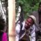 Country Man Run Town (Jamaican Movie)