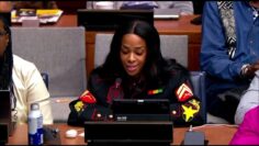 Donah Sandford Lecture The United Nations on behalf of The Ethiopian World Federation, Incorporated