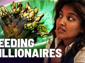 Feeding The Super Rich: The Secrets of Luxury Dining