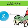 Fidle ( alphabet) geez young children ፊደል ግእዝ ንህጻናት