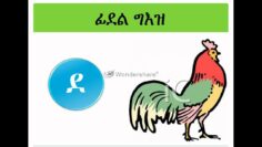 Fidle ( alphabet) geez young children  ፊደል ግእዝ ንህጻናት