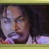 Garnett Silk -Kingly Character(Reggae Sunsplash 1994)