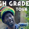 High Grade Tour with Rasta Mokko