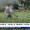Highly Harmful Chemicals Found in Local Produce | TVJ News