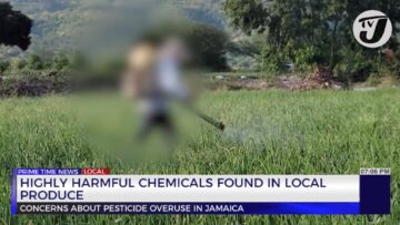 Highly Harmful Chemicals Found in Local Produce | TVJ News