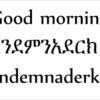 How to ask simple Questions in amharic?