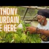 Inside the Sacred World of Rastafarian Food