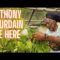 Inside the Sacred World of Rastafarian Food