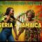 Jamaica Speaks Igbo: The 300-Year Cover-Up Finally Exposed
