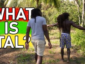 Jamaican Ital Explained + 2 Recipes