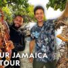 Jamaicas Incredible Caribbean Food in 24 Hours | Epic Food Journeys with Mark Wiens | Nat Geo