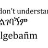 Key Phrases to Learn in Amharic…Language for Travelers