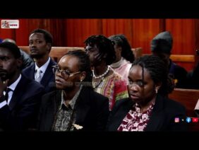 Laughter in Court as Rastafari Diviner Explains Why Cannabis Is Sacred