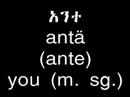Learn Amharic – Personal Pronouns
