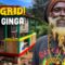 Living Off Grid, Rasta Style! @rasginga House Tour 🇬🇩