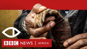 Malawis Human Harvest – BBC Africa Eye Documentary