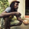 Organic farming / Ital cooking
