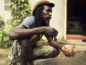Organic farming / Ital cooking