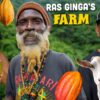 Organic Farming with @rasginga ! HUGE Coconuts, Cocoa Fruit tasting & Goats!