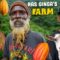 Organic Farming with @rasginga ! HUGE Coconuts, Cocoa Fruit tasting & Goats!