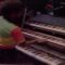 Peter Tosh Rastafari Is ( Live )