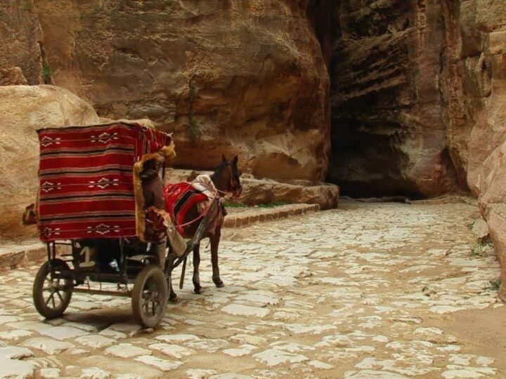 Petra And The Lost Kingdom Of The Nabataeans | Documentary