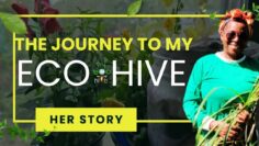 PREMIERE: 4K Short Film: The Journey to My Eco Hive