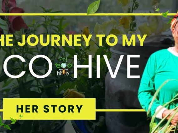 PREMIERE: 4K Short Film: The Journey to My Eco Hive