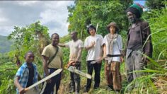 Preparing Farm Land & Ripping the CHAINSAW! Rasta Mokko Ratty & the TEAM