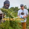 Pure Sativa Landrace preservation and Pheno hunt with Rastafari Church in Antigua | (Episode #1)