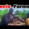 Rasta Farmer in The Gambia