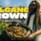 RASTA Farmers Growing SATIVA on an ACTIVE Volcano | St Vincent Pheno Hunt