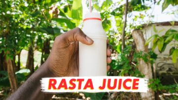 Rasta Farming in Jamaica