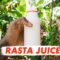 Rasta Farming in Jamaica