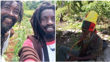Rasta Man Tour Around On The farm in jamaica
