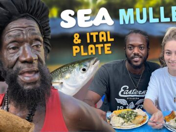 Rasta Mokkos Steamed Sea Mullet & Ital Yam…BIG FOOD!