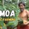 Rasta Sio takes me on a tour of his Organic farm in the Mountains of Samoa