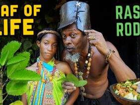 Rasta Style LEAF of LIFE Salad with Coconut Cream Glaze!