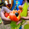 Rastafari Village Food 🇯🇲 100% ITAL FOOD + Jamaican Herb Tour 🌿 with Rasta I-Win!