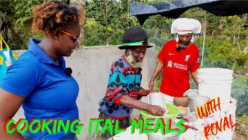 RASTAFARIAN COOKING ITAL FOOD/ITAL STEW/ITAL SIP/ISTAD OIL