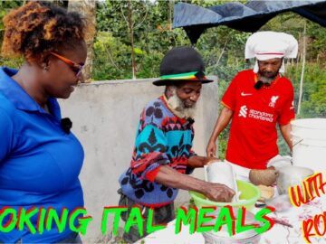 RASTAFARIAN COOKING ITAL FOOD/ITAL STEW/ITAL SIP/ISTAD OIL