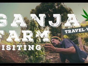 ROASTED AND BAKED | JAMAICA TRAVEL VLOG | GANJA FARM VISITING | ROOTS RASTA DREADLOCKS